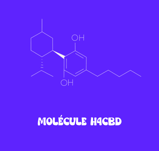 Molécule H4CBD